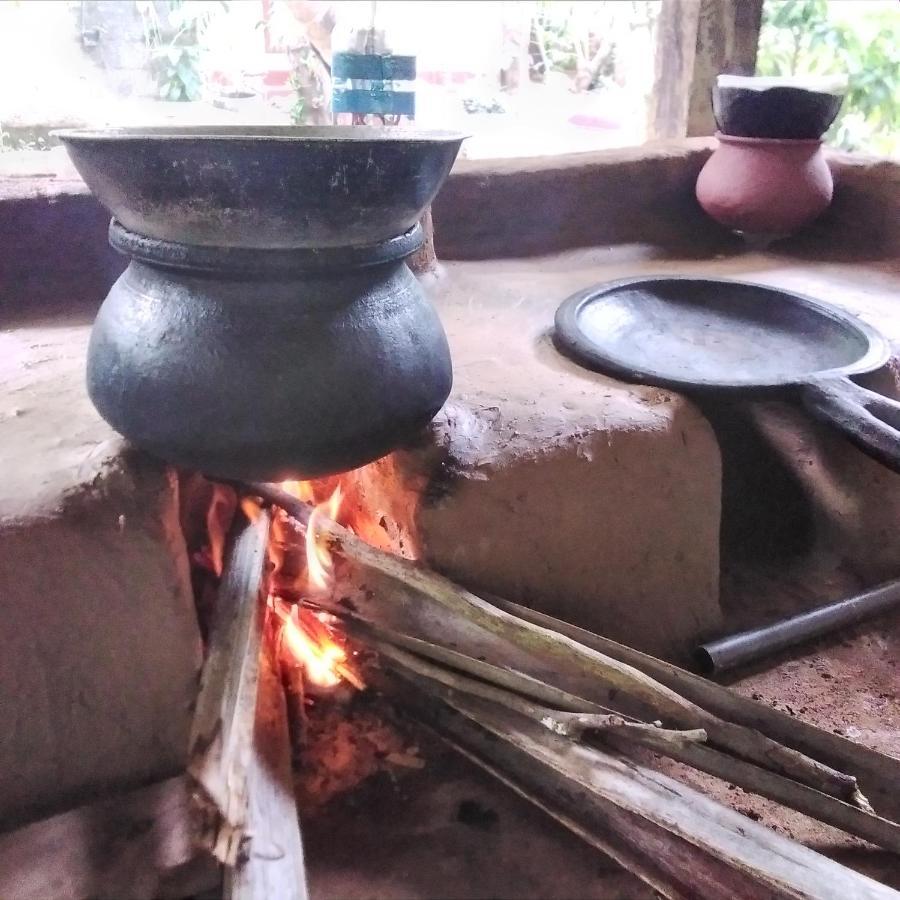Yaluwa Tourist Rest & Cooking Class Anuradhápura Exteriér fotografie